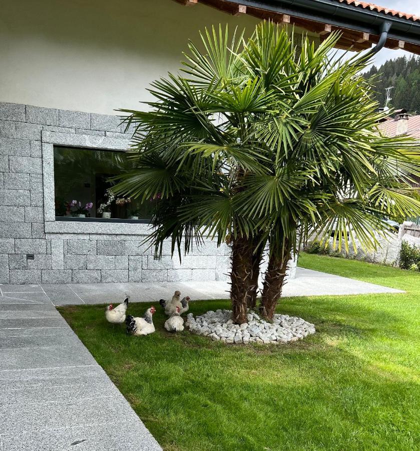B&B Casa Il Sasso Pinzolo Exteriör bild