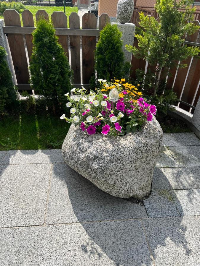 B&B Casa Il Sasso Pinzolo Exteriör bild